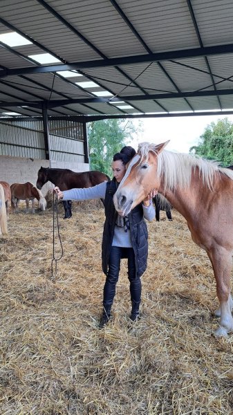 Haras De La Née - photo 2