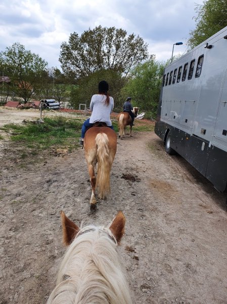 Haras De La Née - photo 3