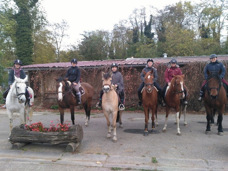 Plaisirs équestres Wolfisheim