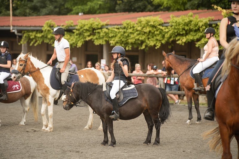 Plaisirs équestres Wolfisheim - photo 2