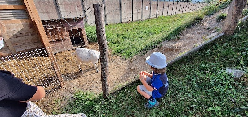 La Petite Ecurie - photo 2