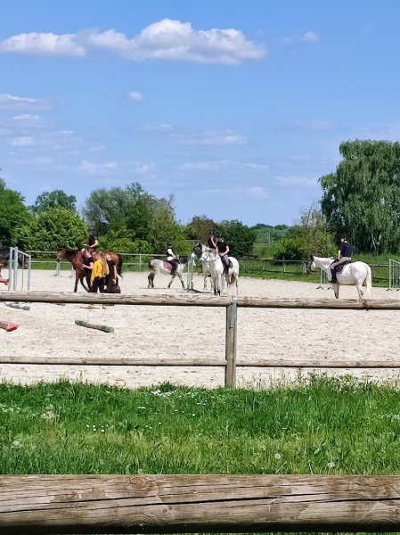 Club Hippique d'Eckwersheim - photo 2