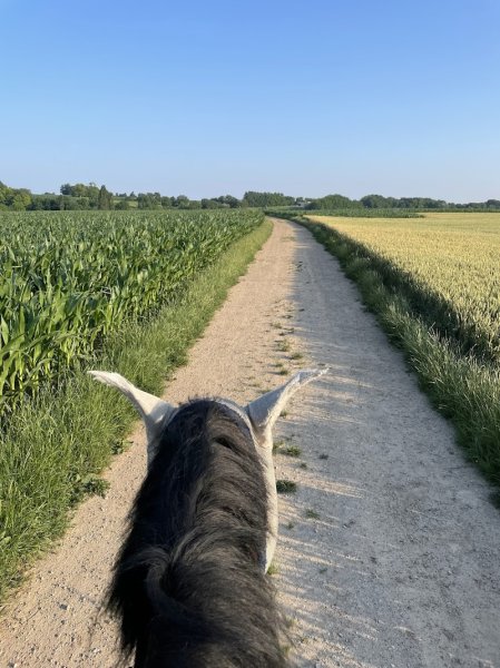 Cheval Nature Stras - photo 2
