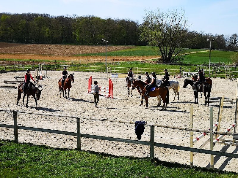 HARAS DU MILLE - photo 3