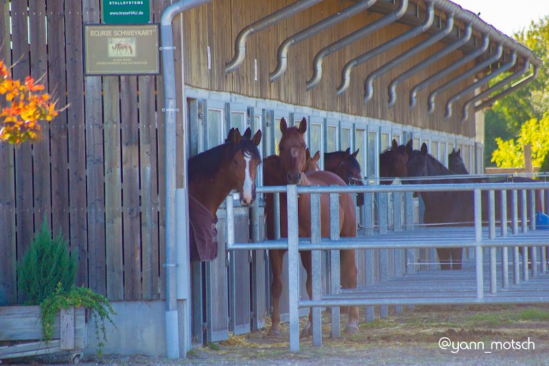 Ecurie Schweykart - photo 2