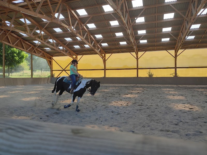 Haras de Pfaffenhoffen - William Haar Performance
