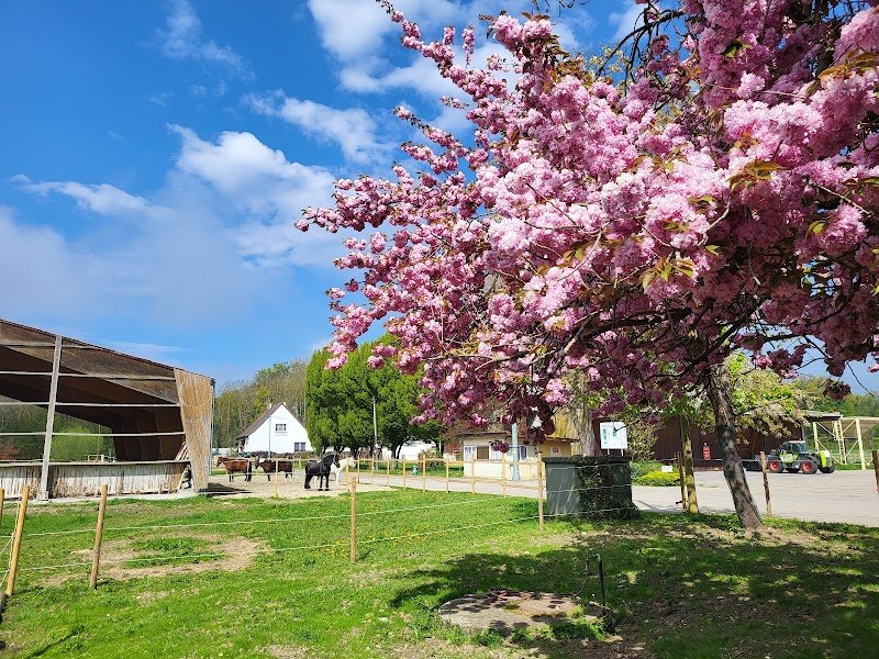 Écurie les chemins du ried