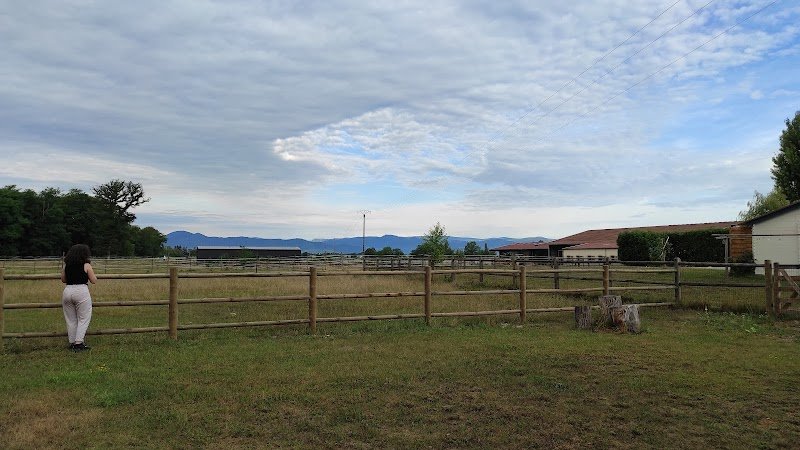 Écurie des acacias - photo 1