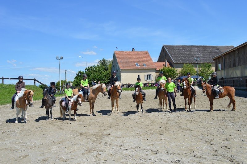 Ecurie De La Renardière - photo 1