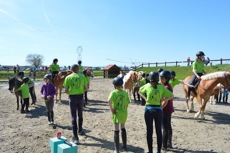 Ecurie De La Renardière - photo 3