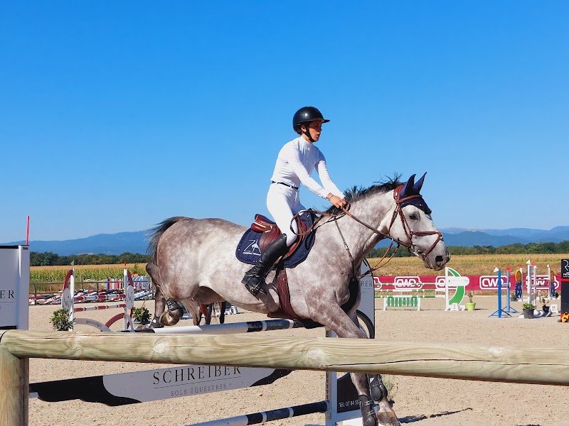 ASSO ECURIE DU MOULIN DE WIDENSOLEN