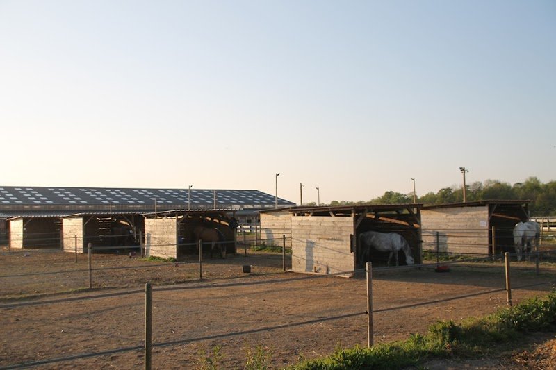 ASSO ECURIE DU MOULIN DE WIDENSOLEN - photo 3