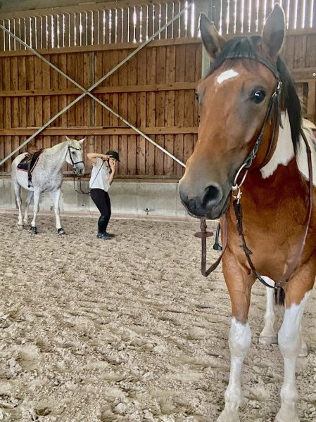 Les Cavaliers Du Seelberg - photo 2