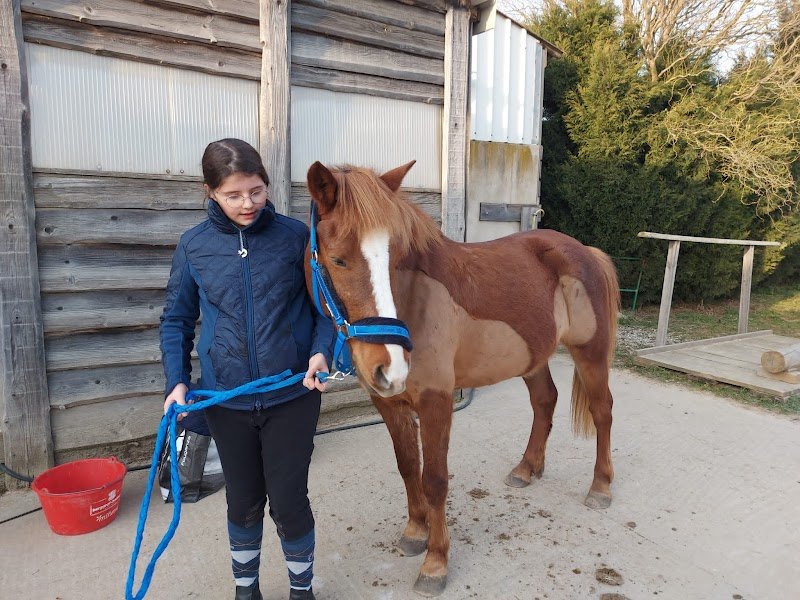 Centre Equestre de la Zorn