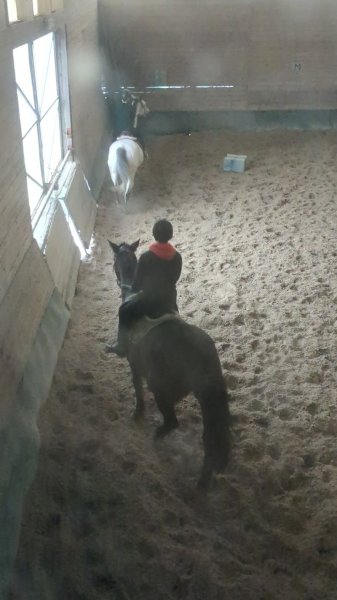 Centre Equestre - photo 1