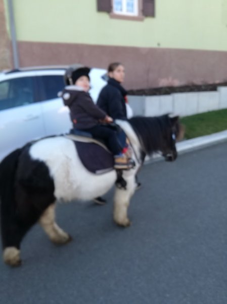 Cheval Mon Ami - photo 1