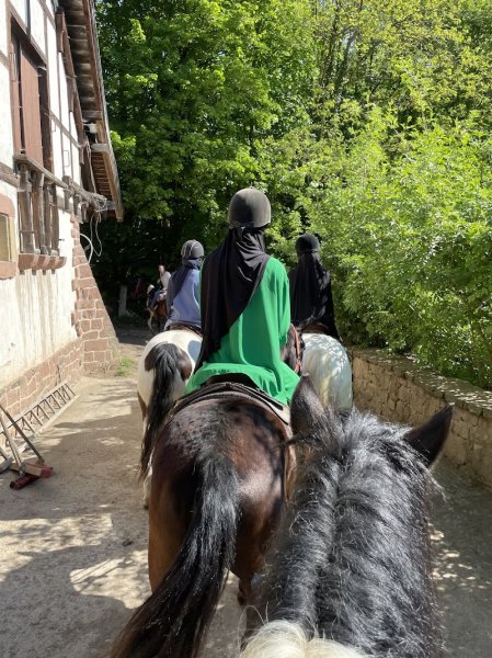 Relais équestre du Neufeld - photo 2