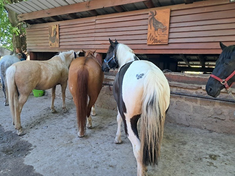 Relais équestre du Neufeld - photo 3