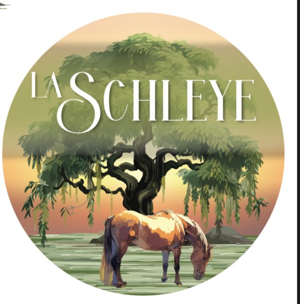 Écurie de la Schleye - photo 2