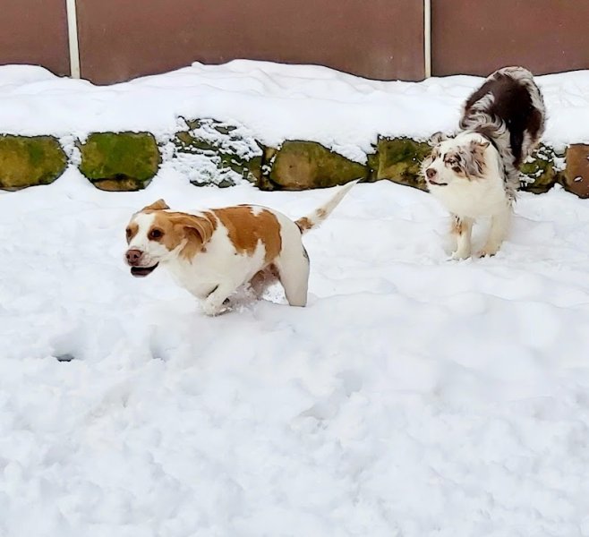 Pension Pattes à Choux - photo 1