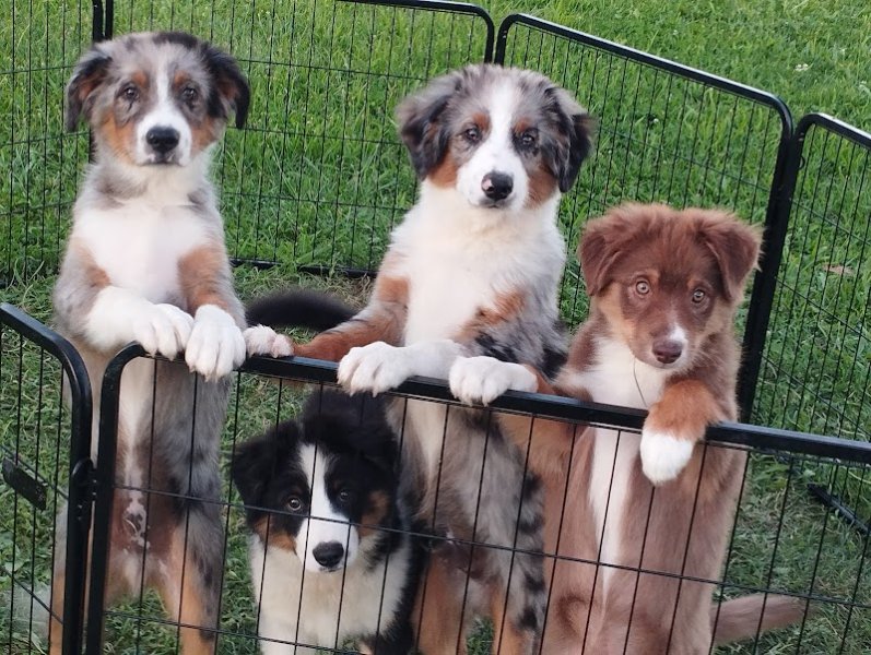 Ecurie Esperanza - photo 2