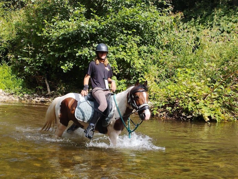 Ecurie Esperanza - photo 3
