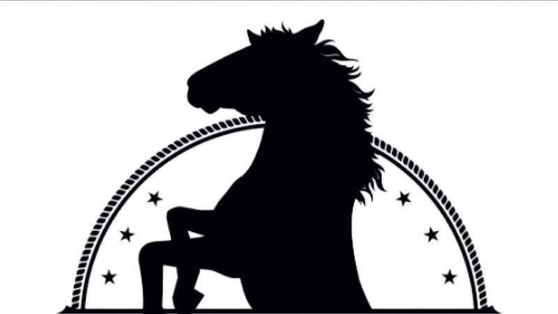 Au Cheval Noir - photo 3