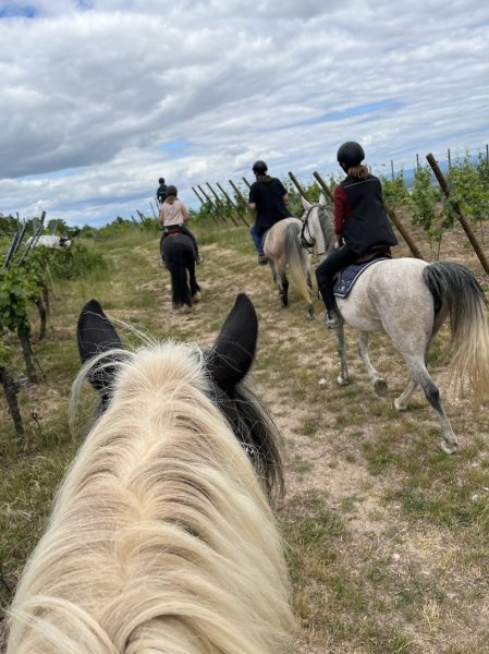 Ecurie Koch’Cinelle