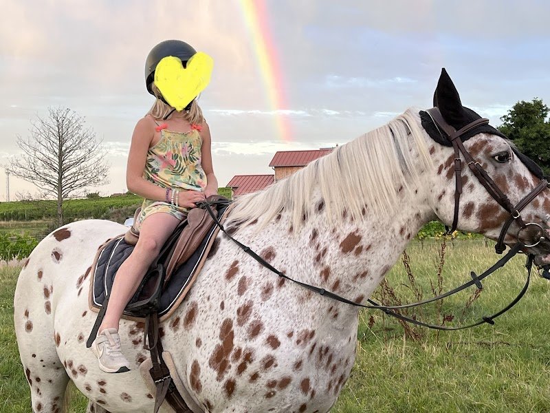 Ecurie Koch’Cinelle - photo 3