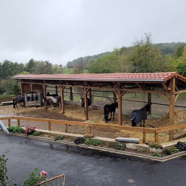 Pension Alice en selle - photo 2