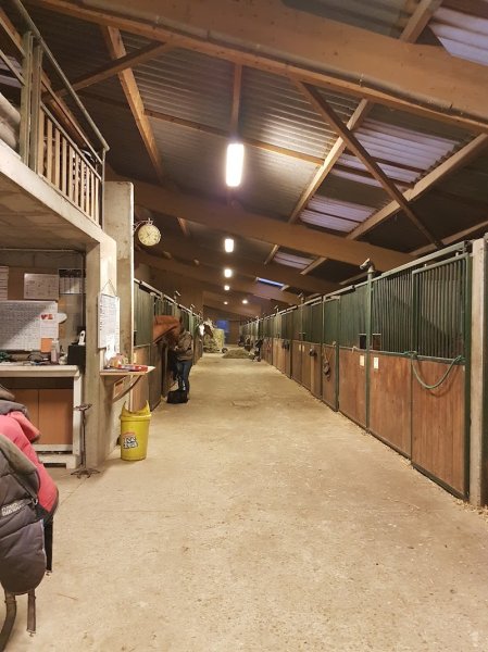 Ecurie Michel bronn - photo 2