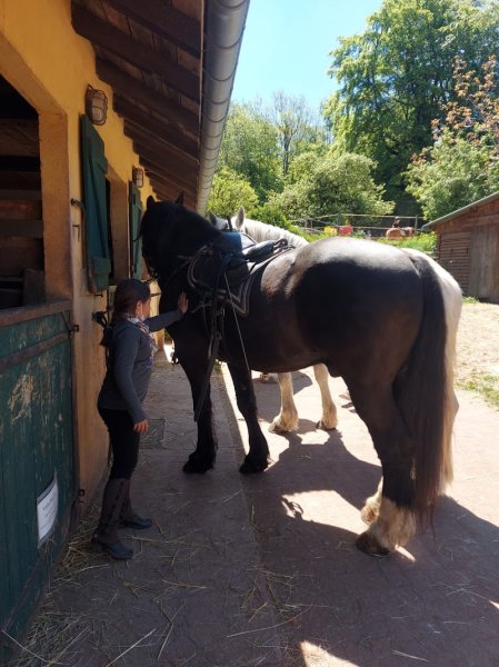 Centre Equestre La Muserolle