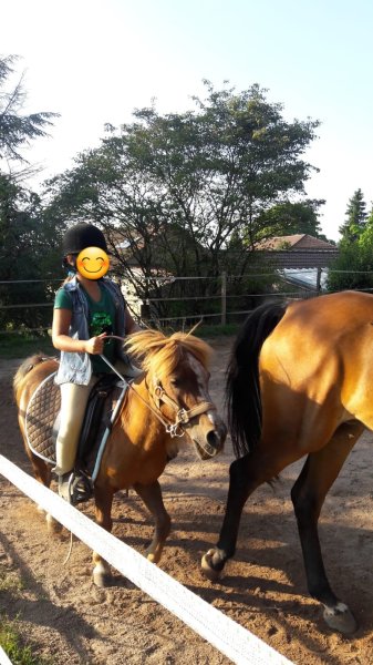 Centre Equestre La Muserolle - photo 2