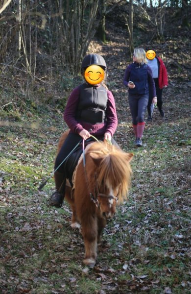 Centre Equestre La Muserolle - photo 3