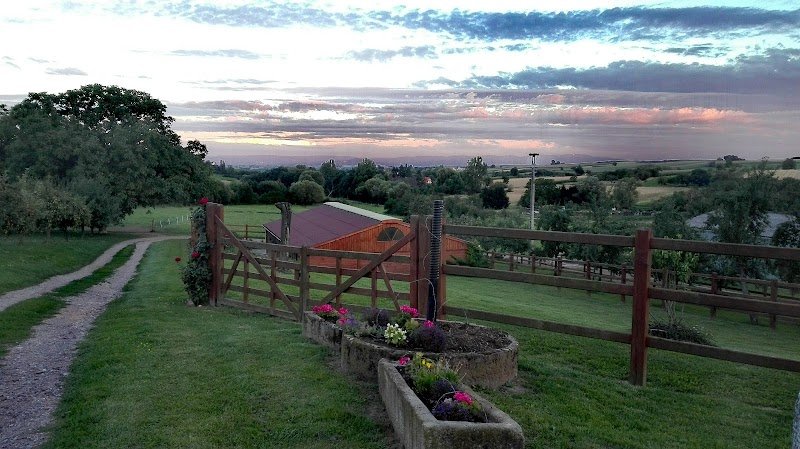 Haras des elys - photo 1