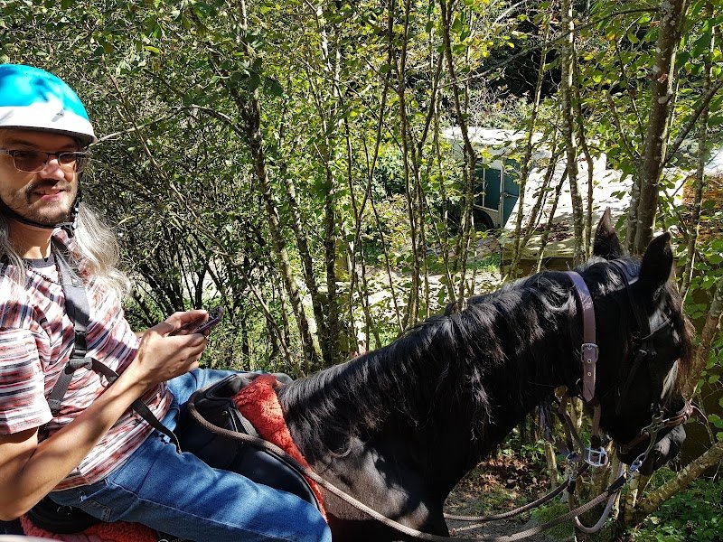 Les Chevaux du Moulin - photo 3