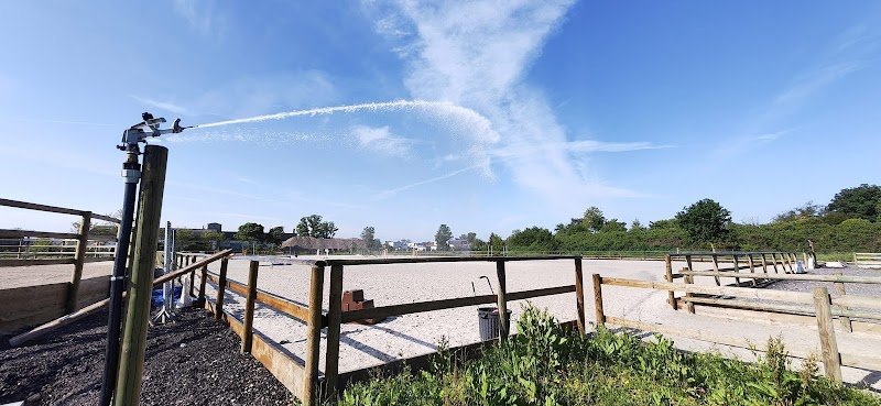 Ecurie Coemgenus HorseSport