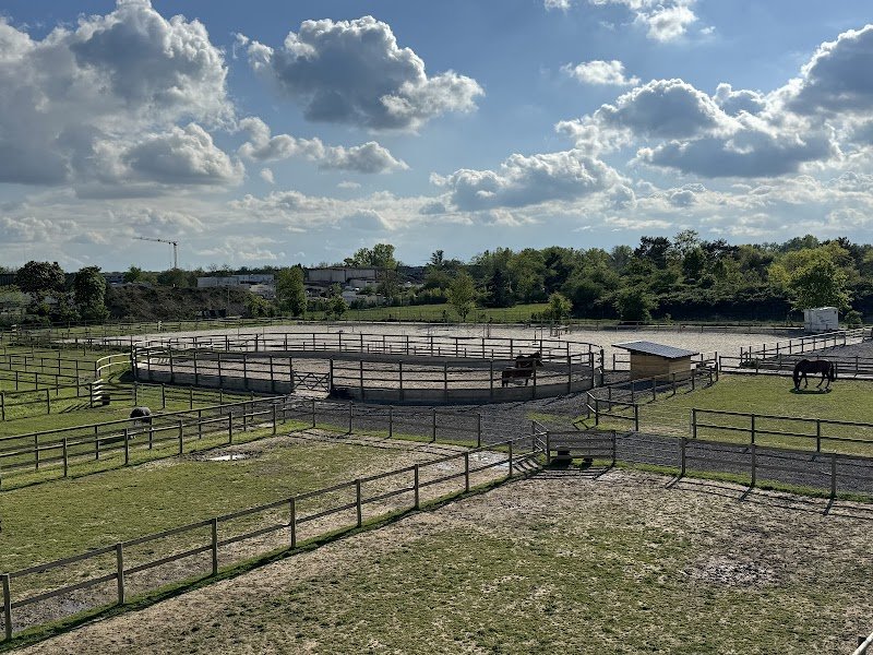 Ecurie Coemgenus HorseSport - photo 2