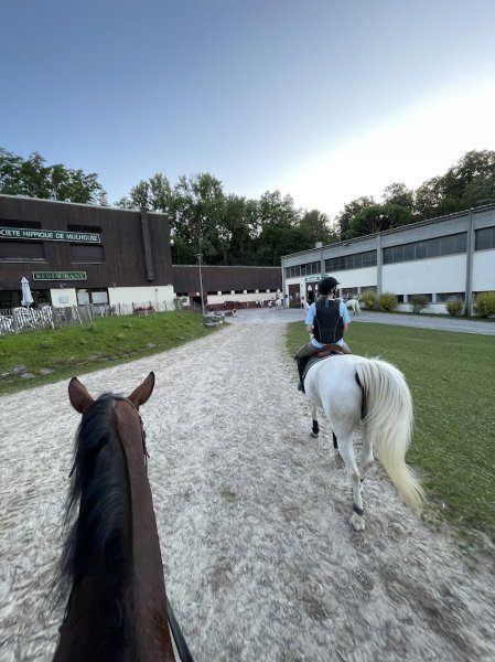Centre Equestre Régional du Waldeck - photo 2