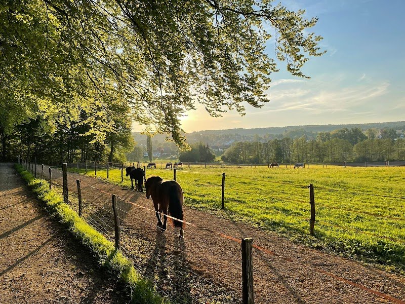 Écurie Espel - photo 1