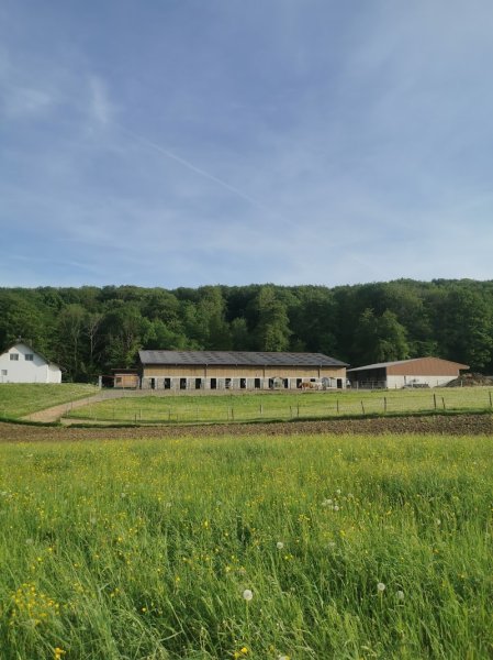 Écurie Espel - photo 3