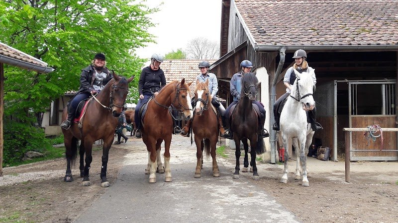 Ferme Équestre Zum Blaue