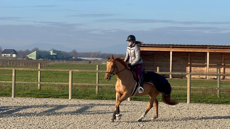 Haras du Toscan - photo 2