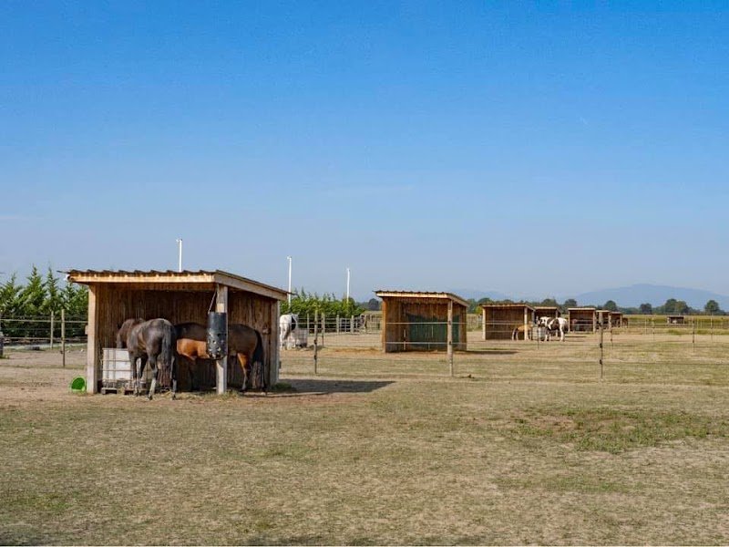Haras du Toscan - photo 3
