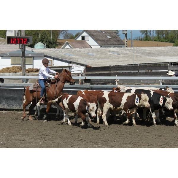 Les ecuries du Rechen - photo 1