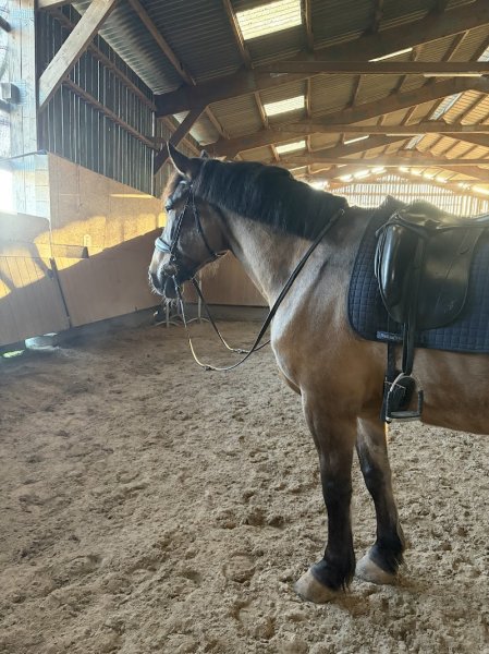 Les ecuries du Rechen - photo 2