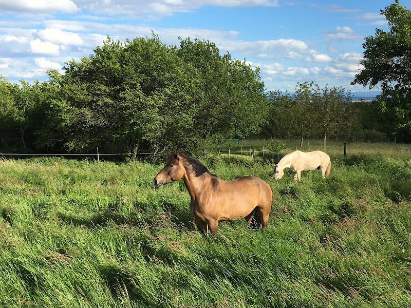 Les ecuries du Rechen - photo 3