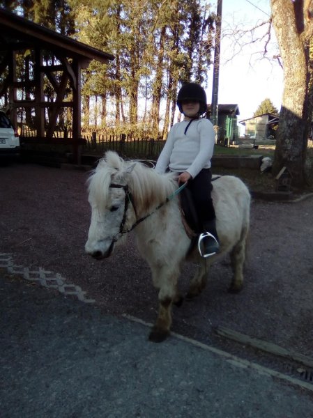 JTM élevage et Poney Club du haut bois - photo 1