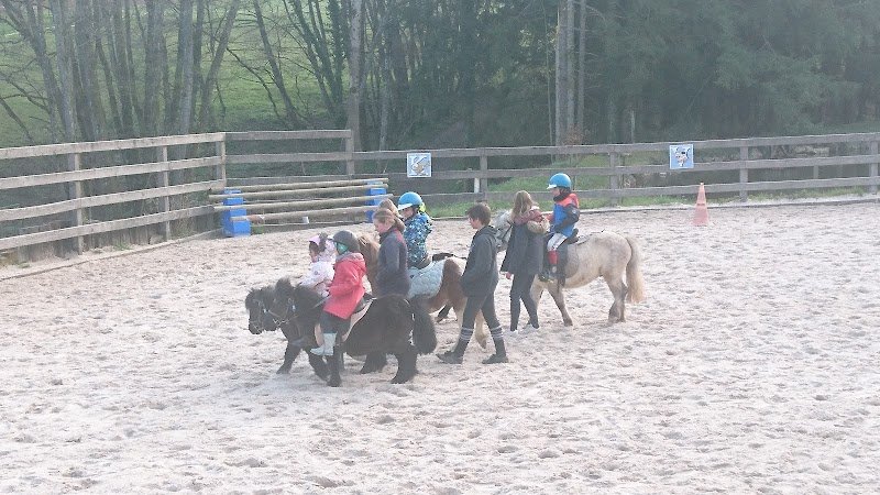 JTM élevage et Poney Club du haut bois - photo 2