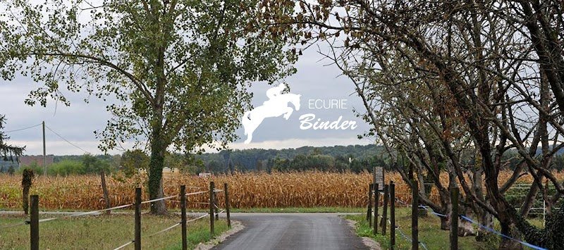 Ecurie Gregory Binder - photo 1